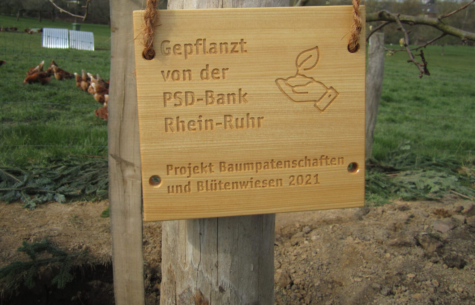 Geld und Gewinn Serviceblog Ihrer PSD Bank RheinRuhr